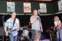 Thumbs/tn_Roved Back in Bulblands 2018 221.jpg